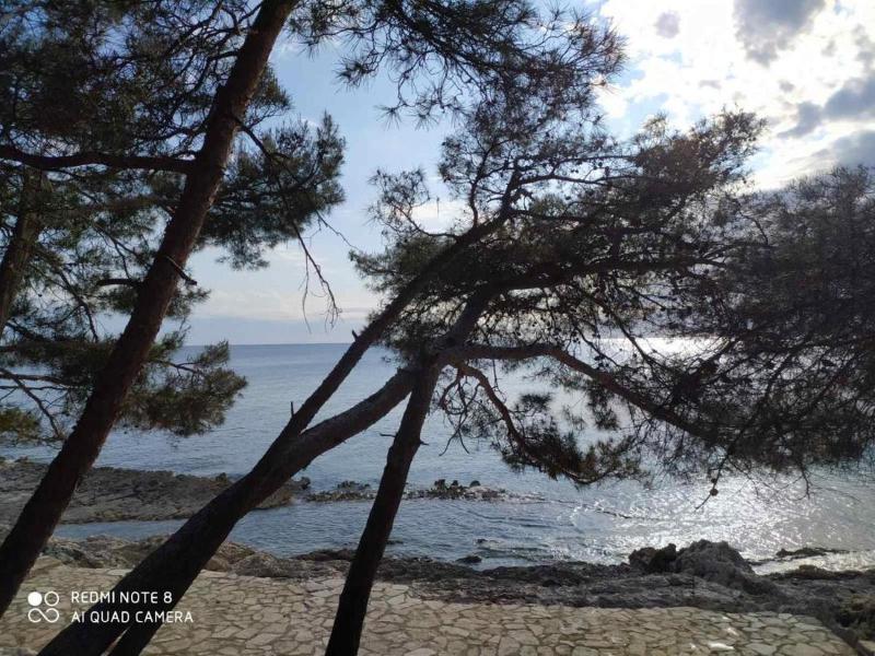 Apartments Mali Losinj (72) - image 31
