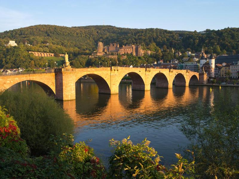 House of Hütter- Heidelberg Suites Guesthouse - image 3