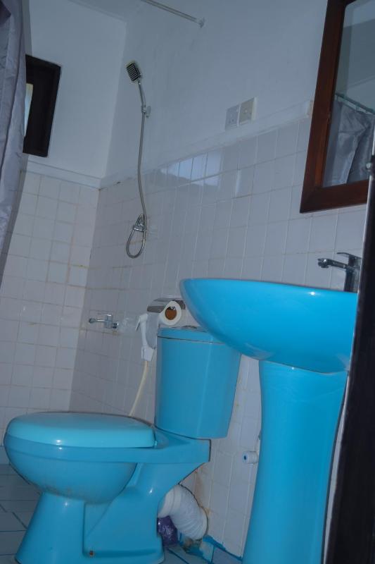 Hansaj Resort - image 19