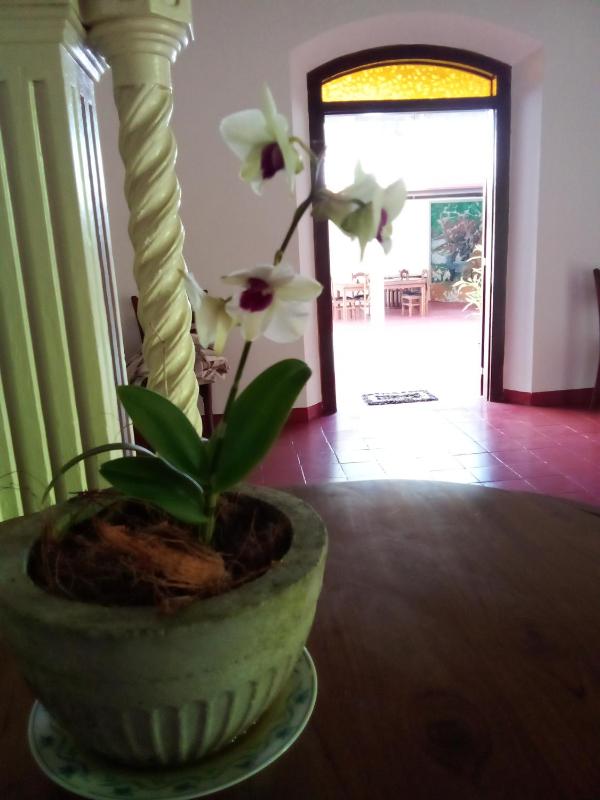 Hansaj Resort - image 8
