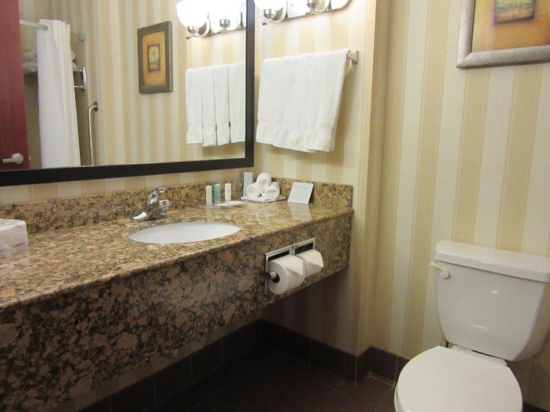King Suite image 3