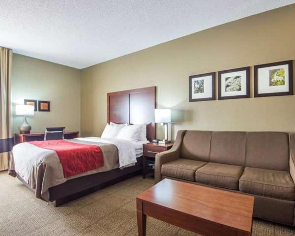 King Suite image 3