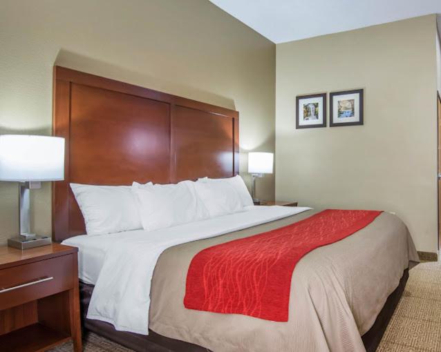 King Suite image 4