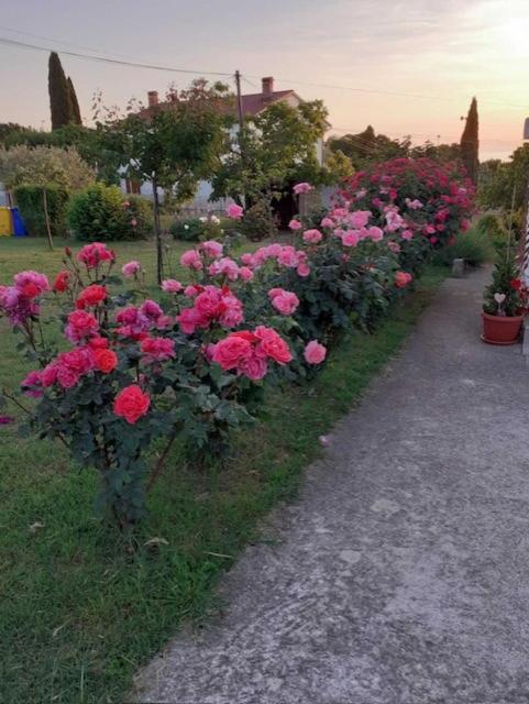 Apartman SARA - image 38