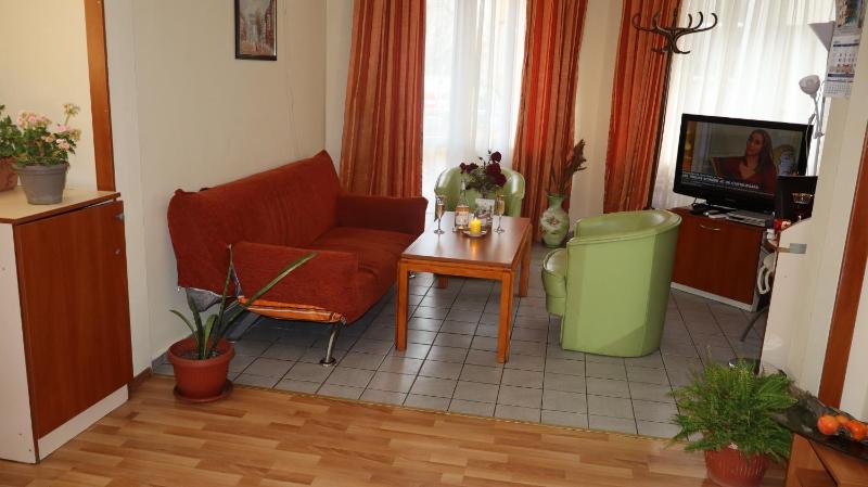 Studio with Terrace image 4