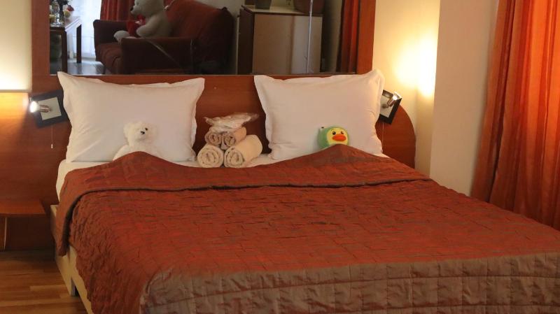 Studio with Terrace image 3