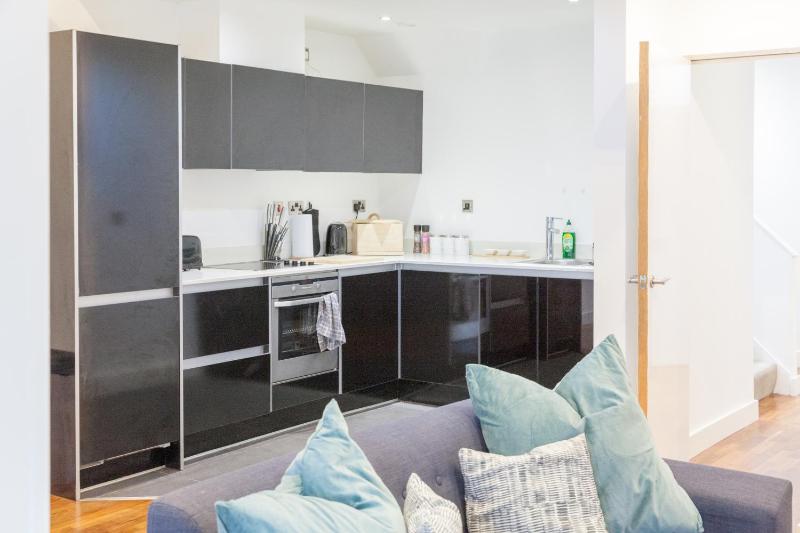 City Centre Penthouse Apartment - image 11