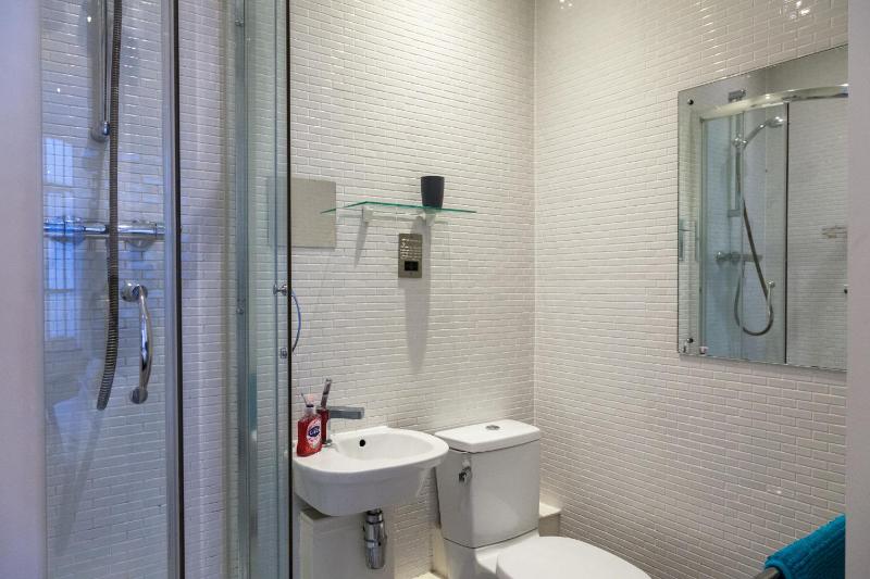 City Centre Penthouse Apartment - image 10