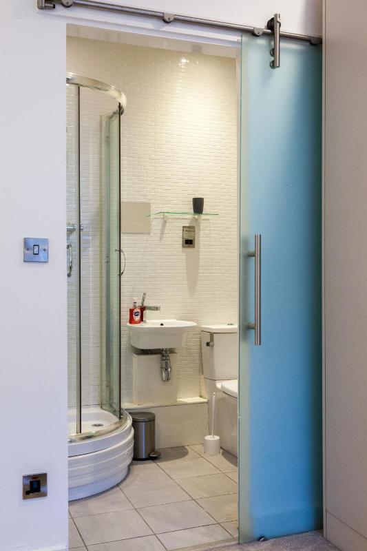 City Centre Penthouse Apartment - image 22