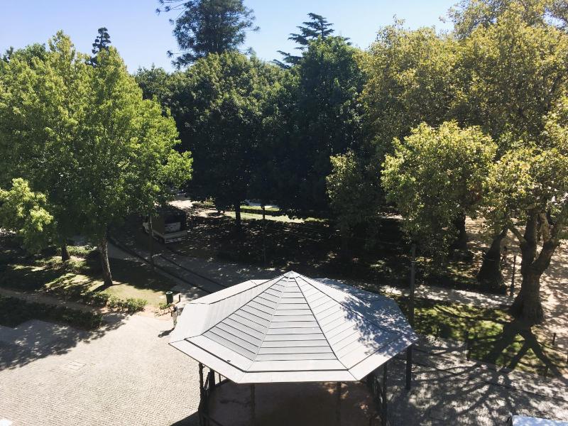 Double Room with Garden View image 3