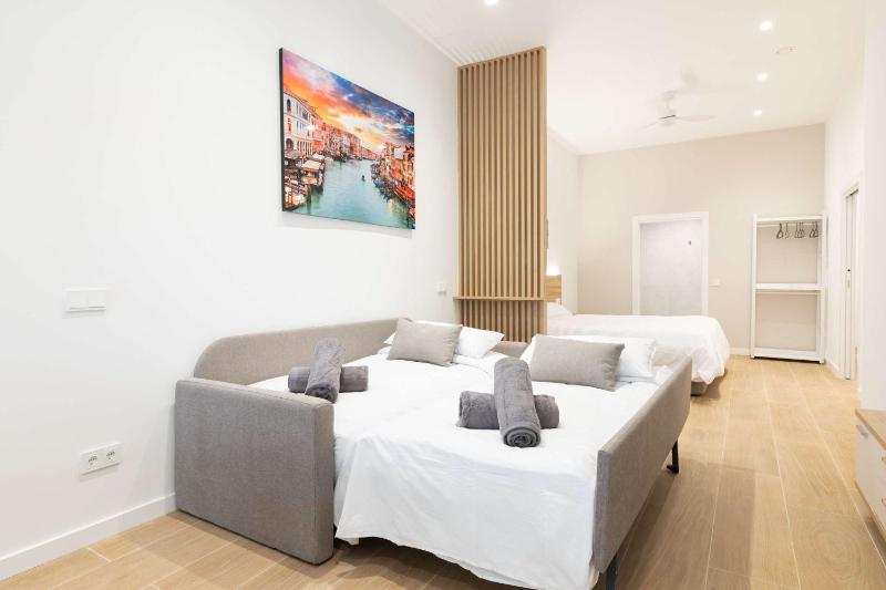 Luxury Apartment Oceanografic 6 pax - image 8