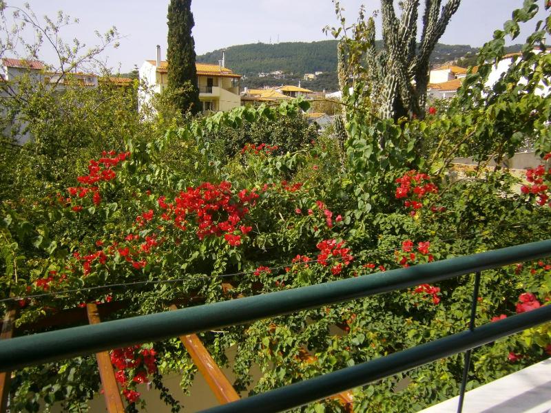 Pansion Chrisa - image 19