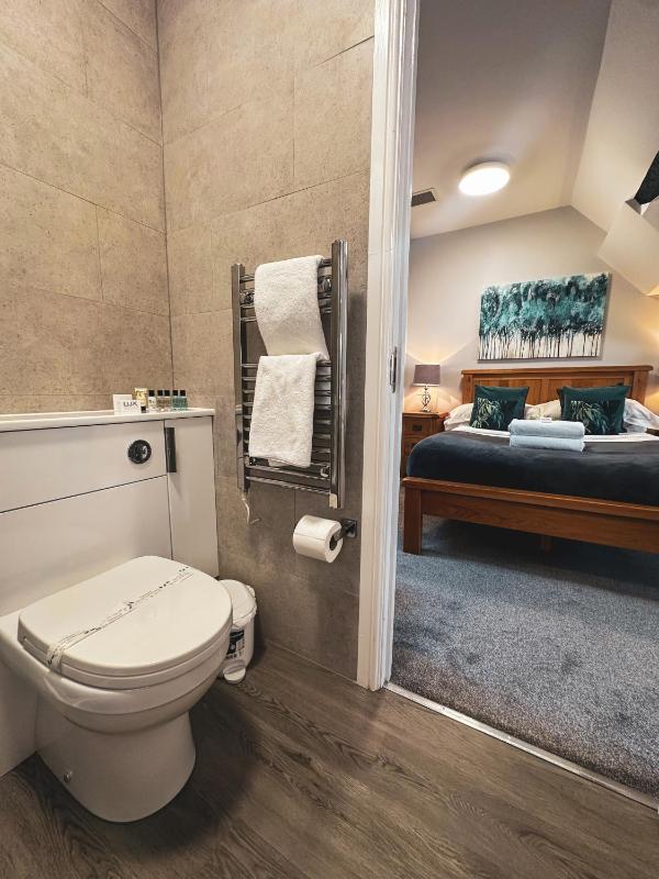 Superior Double Room image 3