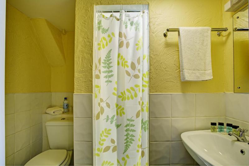 Classic Single Room image 2