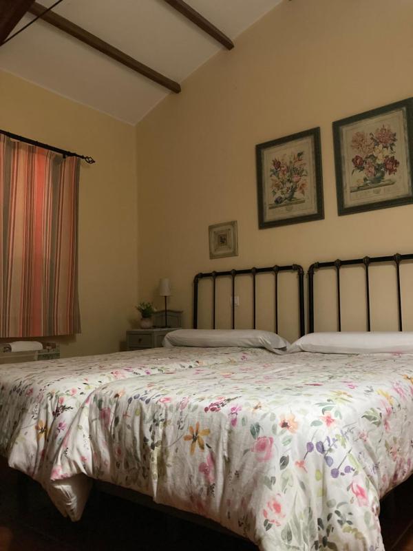Double or Twin Room image 1