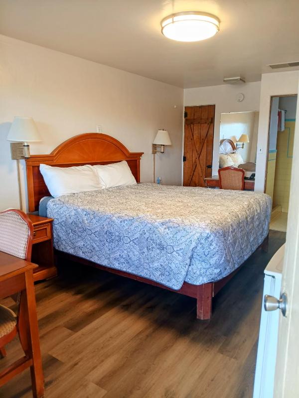 Large Single Room image 4