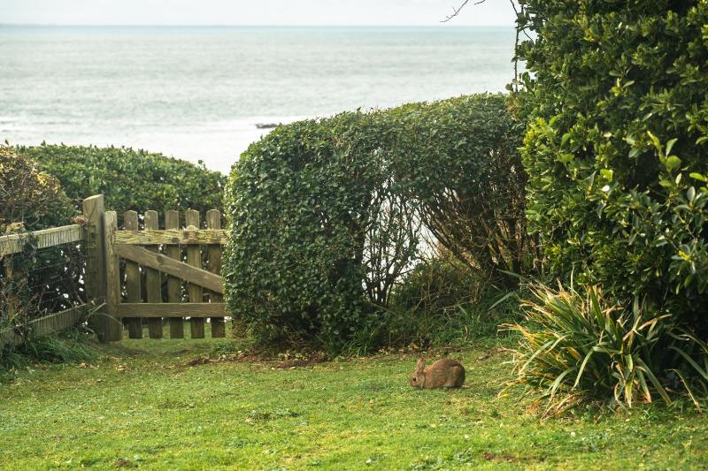 Finest Retreats - Wolf Rock - image 8