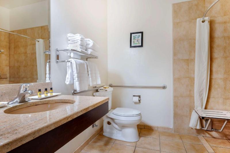 Queen Room with Two Queen Beds and Roll-In Shower - Disability Access image 2