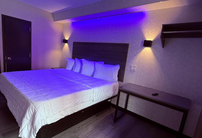 THE VINE HOTEL BRAND NEW - image 13