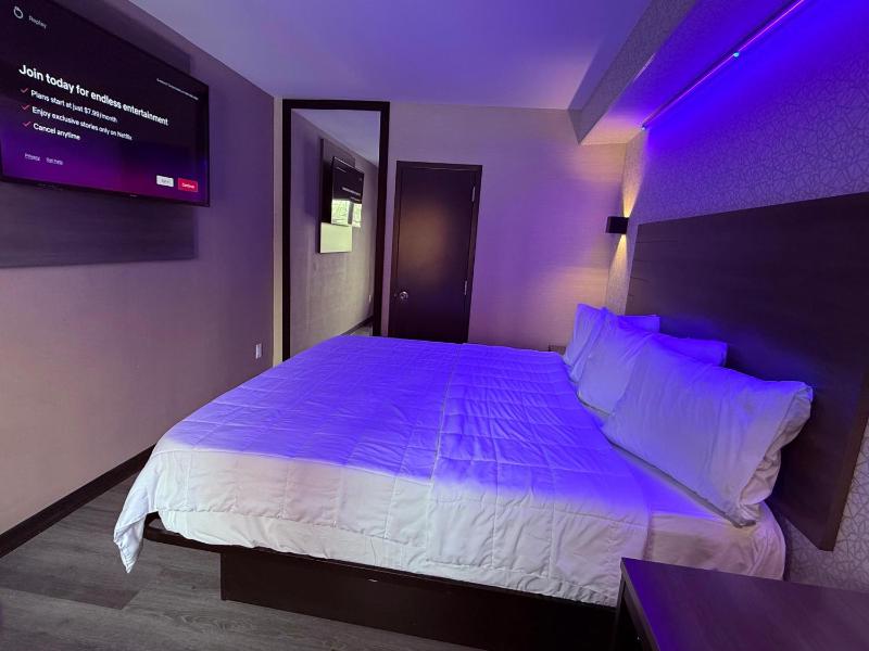 THE VINE HOTEL BRAND NEW - image 12