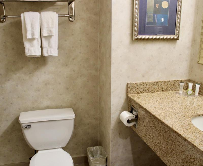 Deluxe King Room image 4