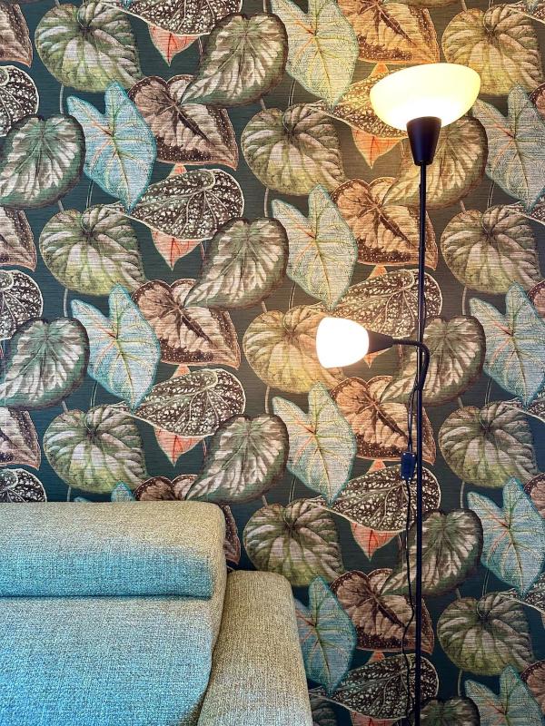 Rosa - Donna Rosa Apartment - image 16