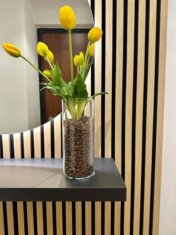 Rosa - Donna Rosa Apartment - image 9