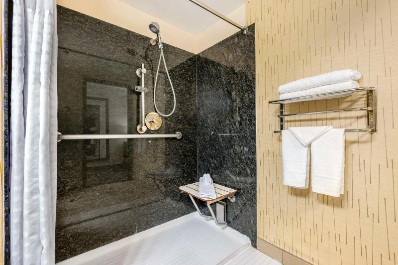 King Room with Roll-In Shower - Disability Access image 2