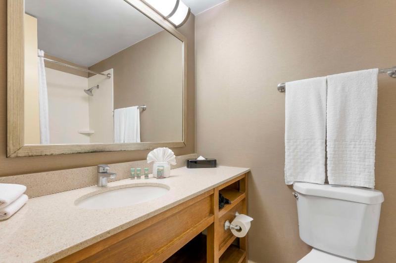 King Room - Non-Smoking image 2