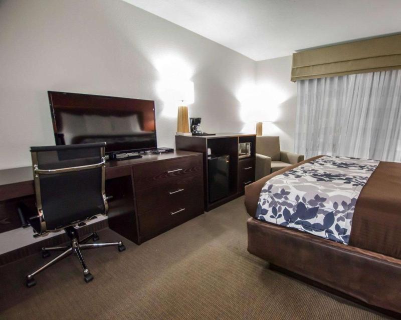 Standard King Room - Non-Smoking  image 4