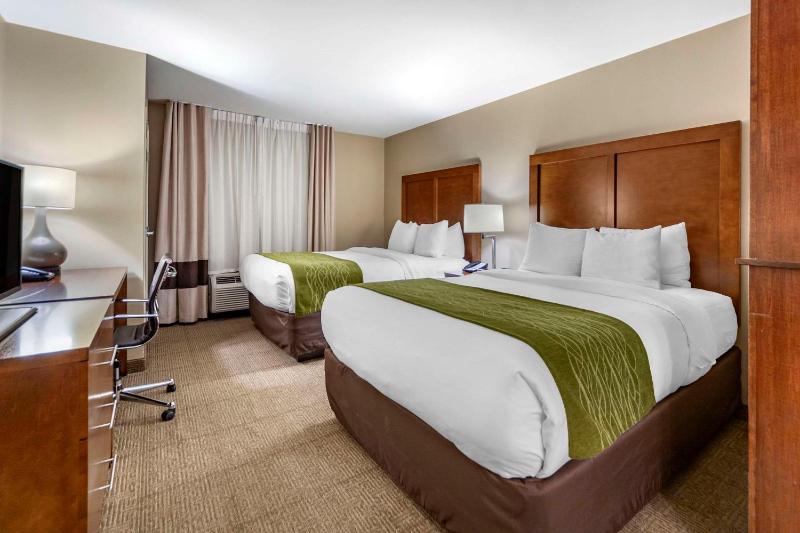Queen Suite image 1