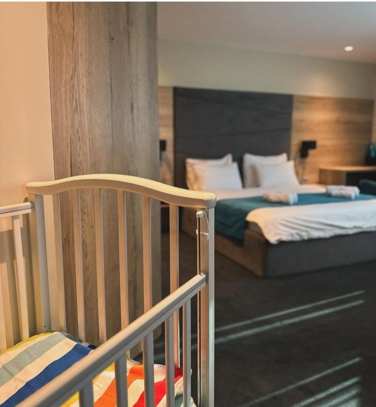 Deluxe Double Room (2 Adults + 1 Child) image 1