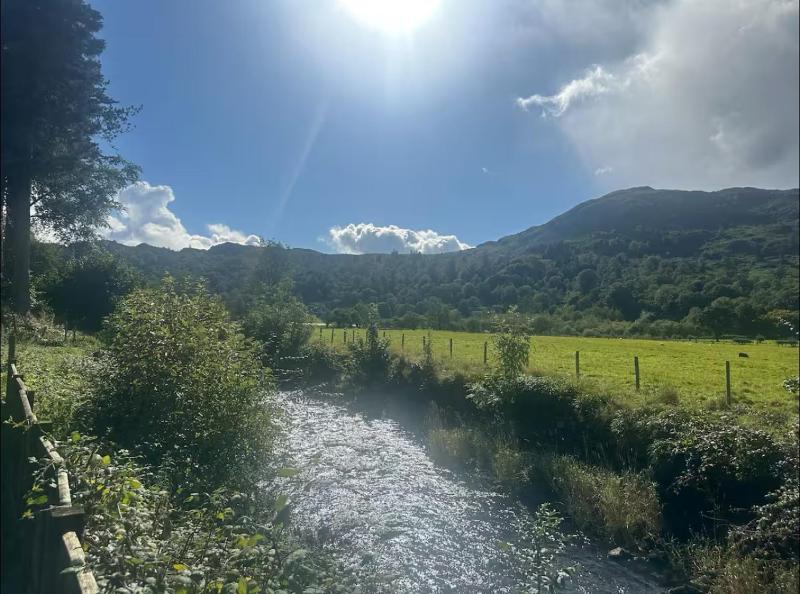 Four-Bedroom House image 4