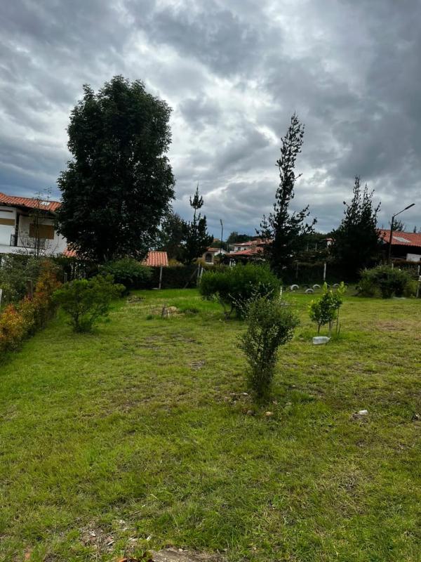 Casa Linda - image 9
