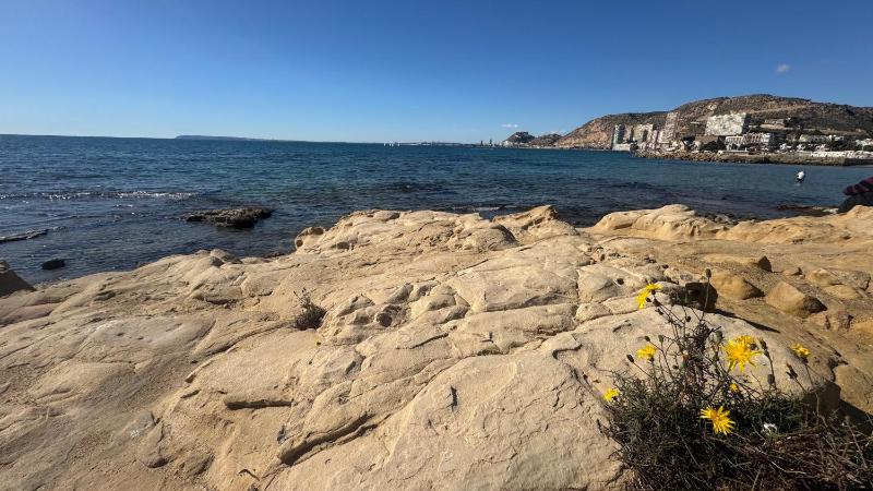 Exclusivas vistas al Mar Mediterraneo con terraza By Turihome - image 42