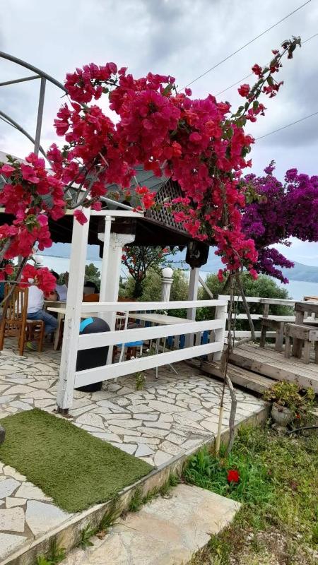 Mermaid Hotel Vlore - image 3