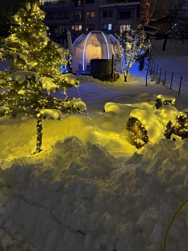 Cupola glamping dome Sarajevo - image 6