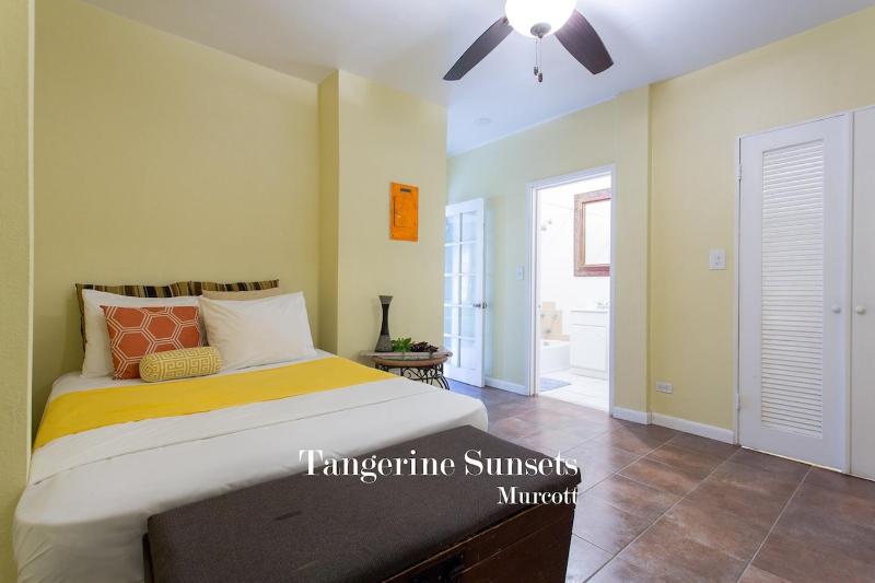 Tangerine Sunsets Murcott - image 9