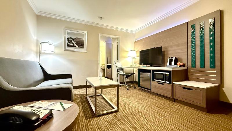Suite, 1 King Bed with Sofa Bed, Non Smoking image 3