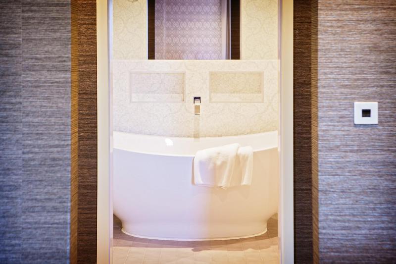 Deluxe King Suite image 2
