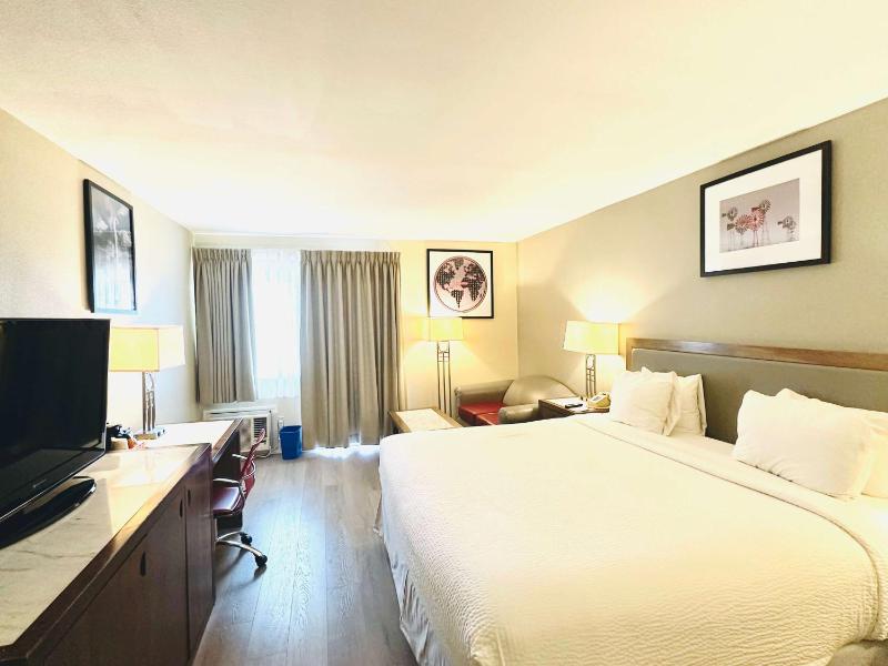 Standard King Room - Non-Smoking  image 1