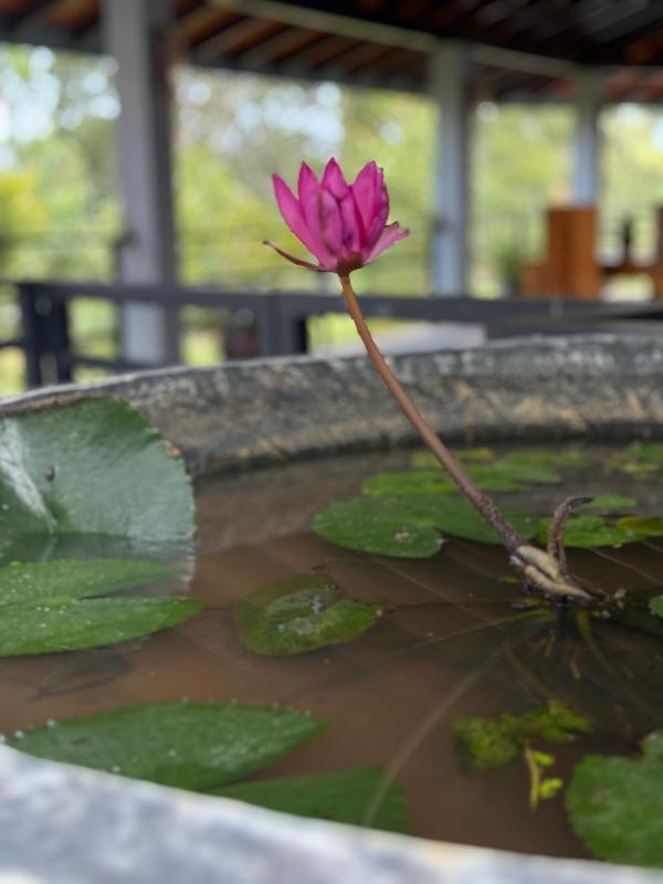 Karisa Nature Villa - image 15