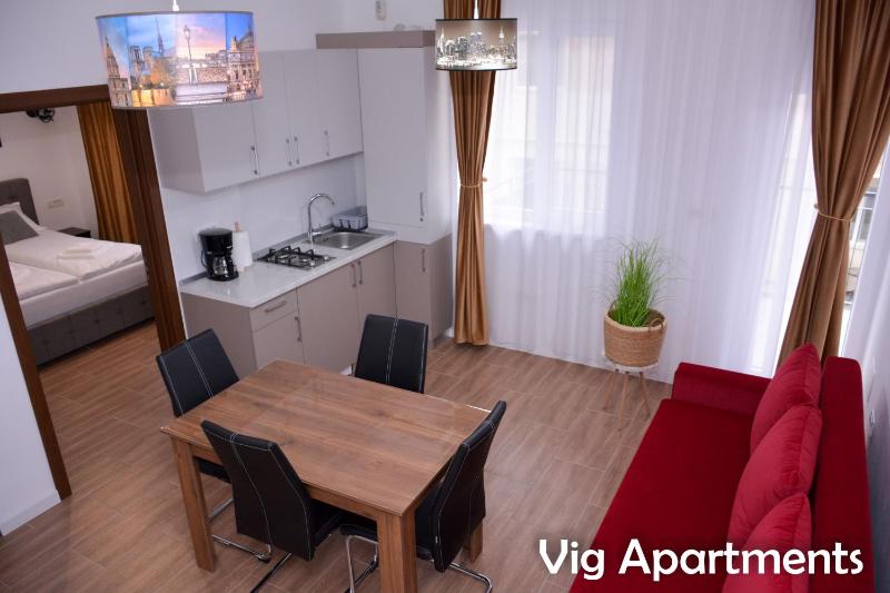 Vig Apartments - image 4