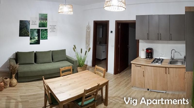 Vig Apartments - image 7