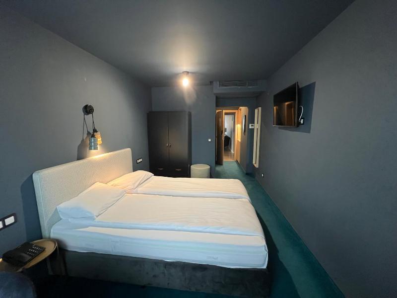 Deluxe Double or Twin Room image 2