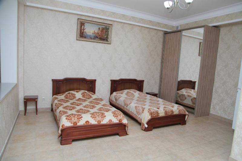 Large Twin Room image 1