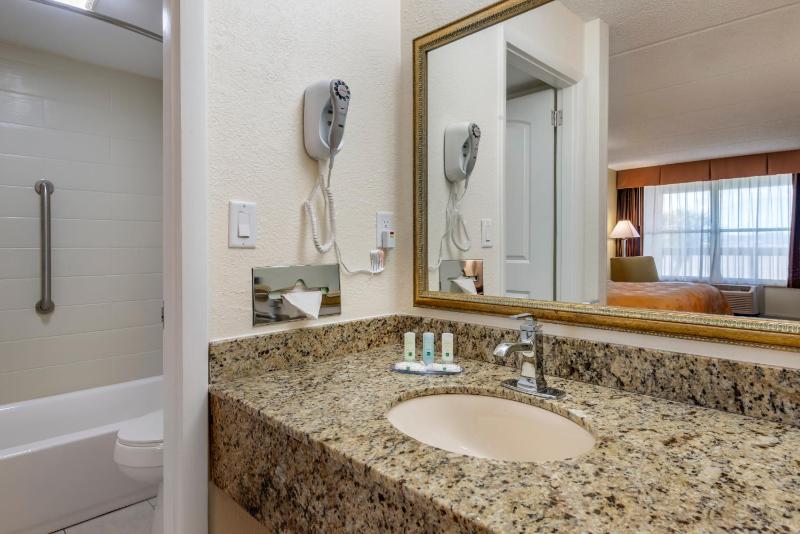 King Suite image 4