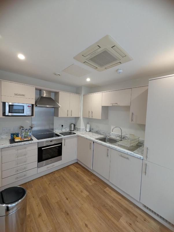 Deluxe Three-Bedroom Apartment image 4