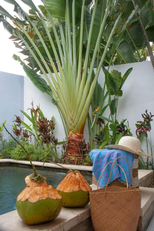 FANTASTIC 1 BR VILLA PRIVATE POOL WALK TO BEACH - image 11