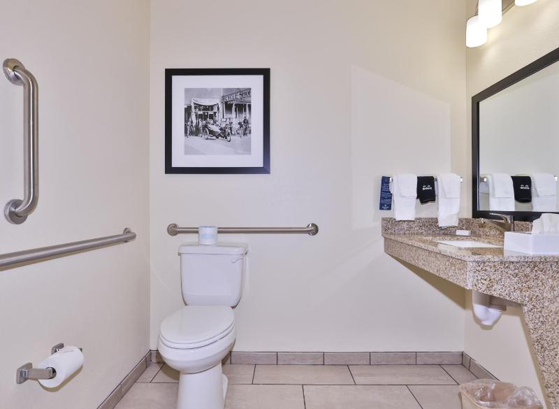 King Room with Roll-In Shower - Disability Access image 4